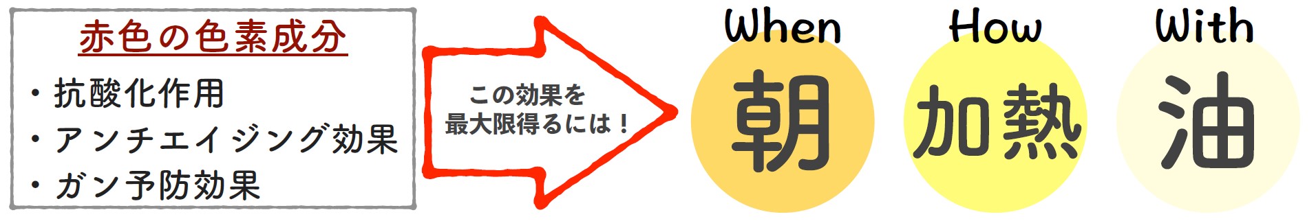 【管理栄養士コラム】トマトのはなし